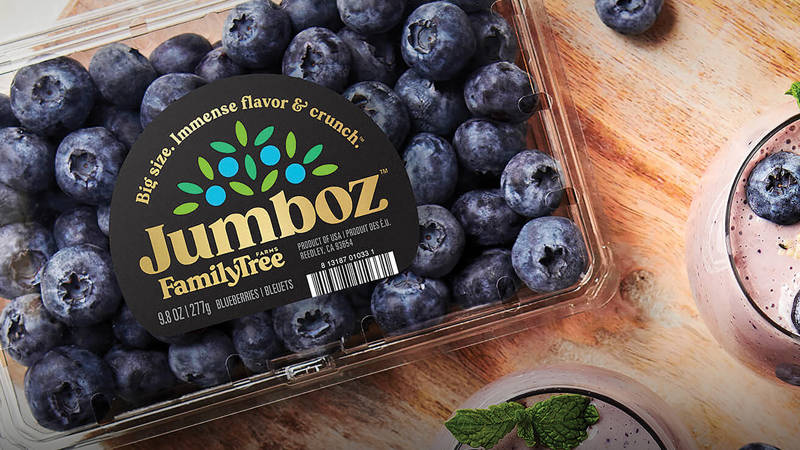 Jumboz Blueberries